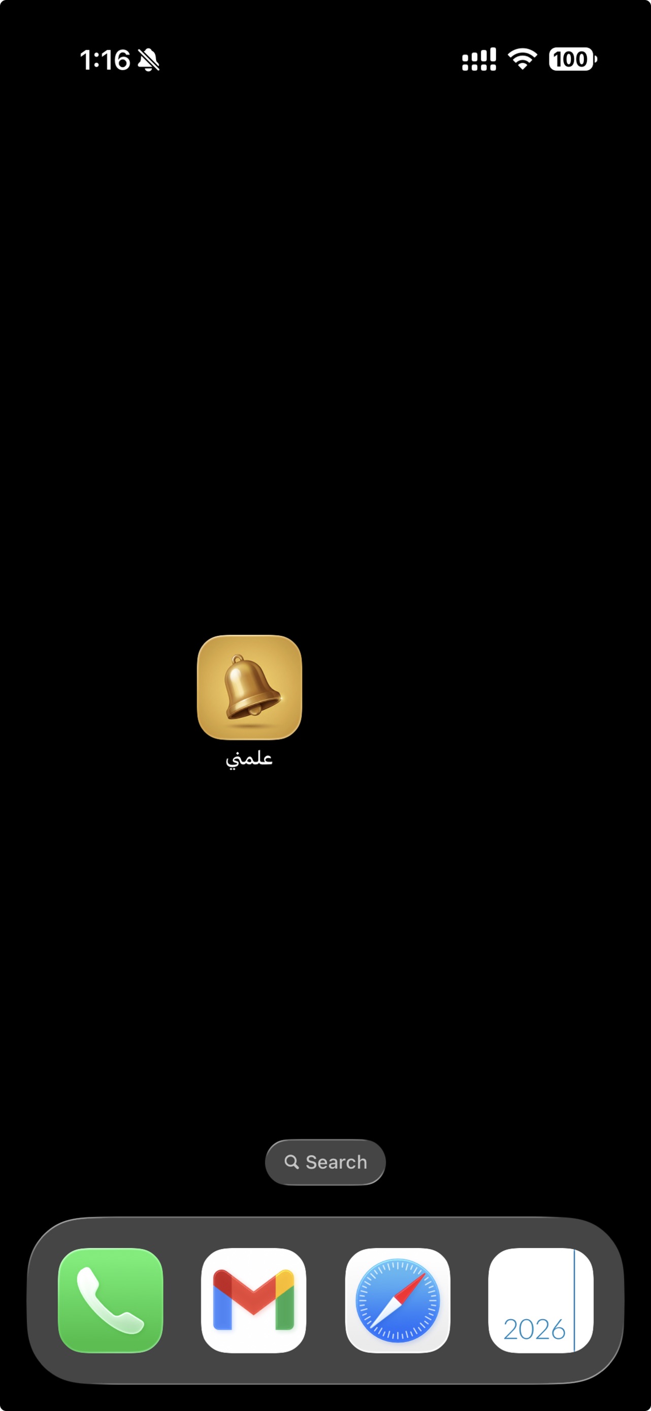 iPhone screenshot 1
